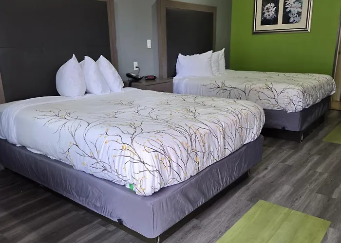 Fort Davis Dog Friendly Hotels