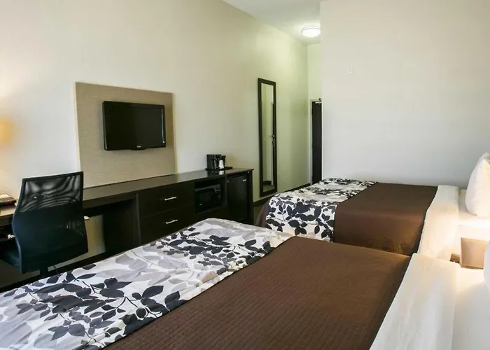 Dripping Springs Dog Friendly Hotels