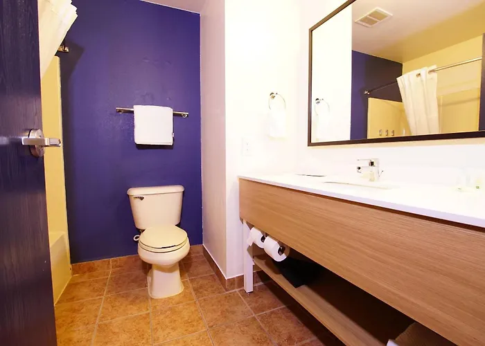 Georgetown Dog Friendly Hotels