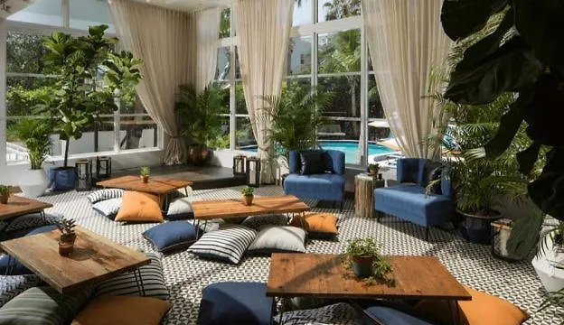 Miami Beach Dog Friendly Lodging and Hotels