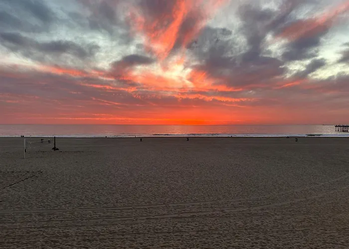 Hermosa Beach Dog Friendly Hotels