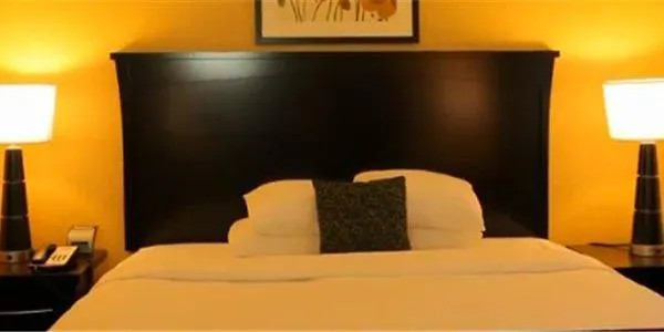 Best 3 Spa Hotels in Logan for a Relaxing Getaway