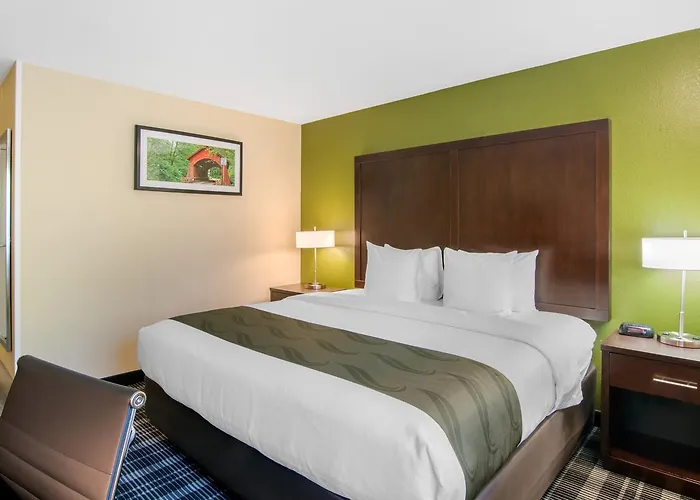 Albany Dog Friendly Hotels