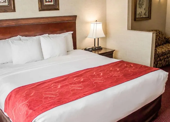 Lake George Dog Friendly Hotels