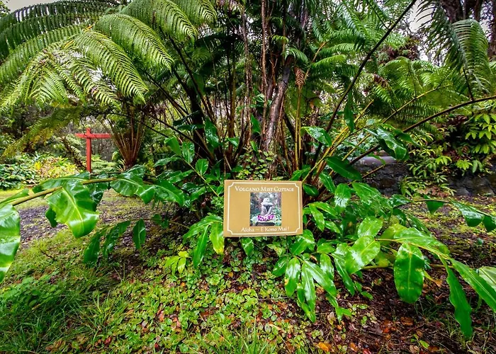 Best 3 Spa Hotels in Volcano for a Relaxing Getaway